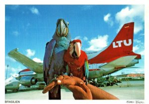 Brasilien airlines Brazil Postcard Michael Friedel photo macaw Tristar LTU