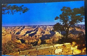 Grand Canyon National Park Vintage Postcard