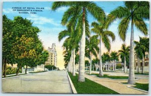 M-24151 Avenue Of Royal Palms Or President's Avenue Havana Cuba