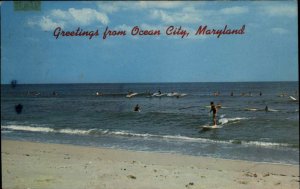 Ocean City Maryland MD Surfers Surfing Vintage Postcard