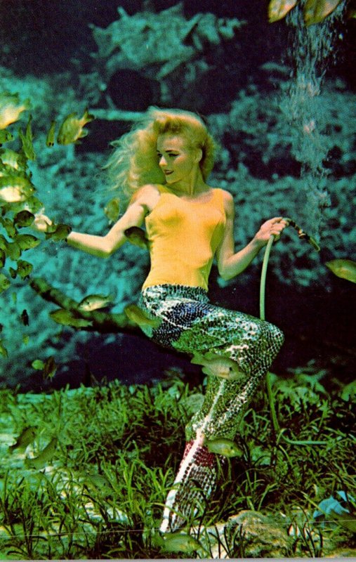 Florida Weeki Wachee Live Mermaid Beautiful Girl In Bathing Suit