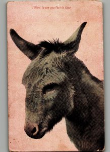 Antique Postcard 1908 Donkey Face Animal Posted 5.5 x 3.5