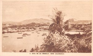 Baie de La Moselle New Caledonia Harbor Birds Eye View Vintage Postcard AA76556