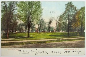 ANTIQUE 1908 POSTCARD - HAMILTON PARK OGDENSBURG N.Y.