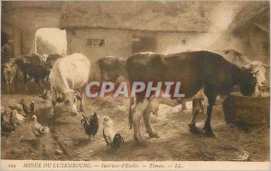 Old Postcard Musee du Luxembourg Interior of Stable Thoren