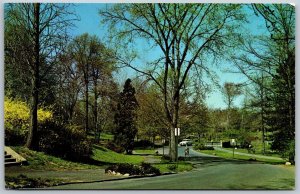 Vtg Westfield New Jersey NJ Park Drive Mindowaskin Park Union County Postcard