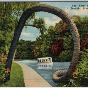 c1940s Silver Springs FL Horse Shoe Palm Advertising Tree Old World Florida A203