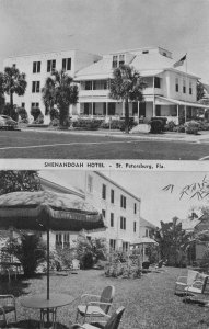 SHENANDOAH HOTEL ST. PETERSBURG FLORIDA DEXTER PRESS POSTCARD (1940s)