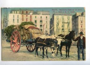 232938 ITALY NAPOLI Wheeled cart pulled by donkey cow HORSE