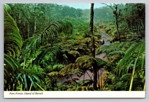 Fern Forest Island Of Hawaii Vintage Unposted Postcard