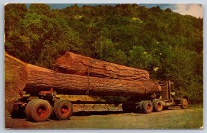 Transportation~These Little Logs Go To Market~Lumber Semi Truck~PM 1955~Postcard
