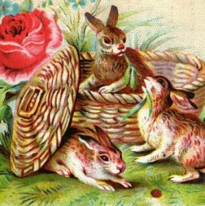 1880s A&P Reliable Pioneer Tea & Coffee House Adorable Rabbits In Basket P98