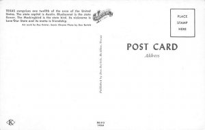 Pecan Trees State Flag, Texas TX Postcard