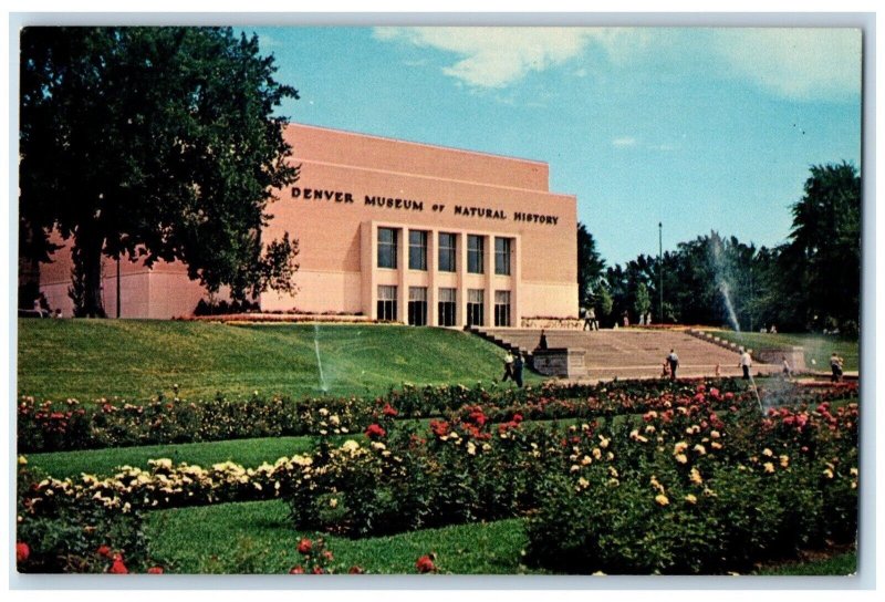 c1950's Denver Museum Of Natural History City Park Denver Colorado CO Postcard
