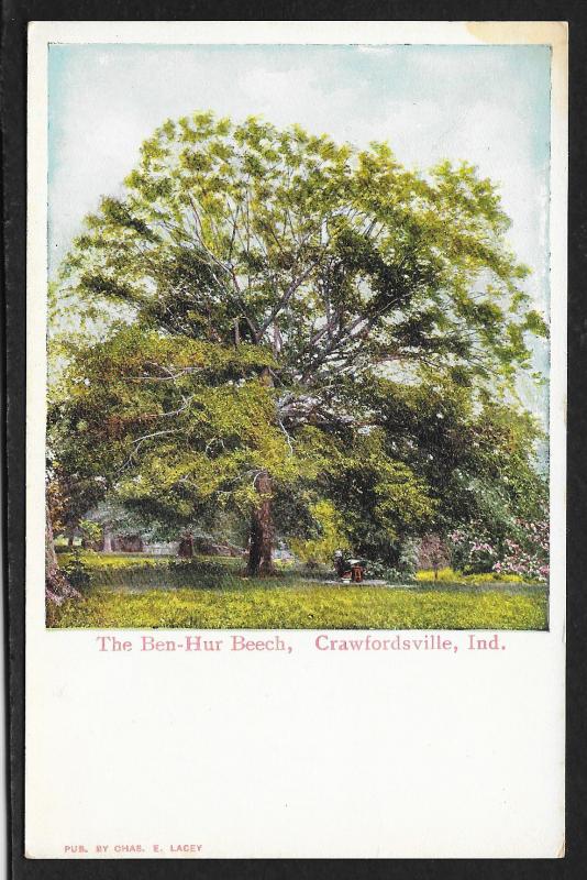 Ben Hur Beech Tree Crawfordsville Indiana Unused c1910s