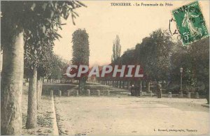 Old Postcard Thunder Promenade du Patis