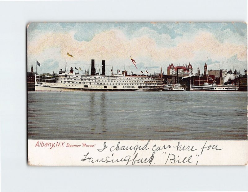 Postcard Steamer Horse Albany New York USA