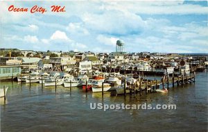 Fisherman's Paradise in Ocean City, Maryland