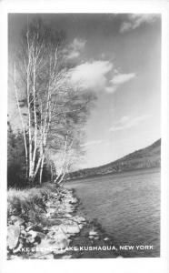 Lake Kushaqua New York Waterfront Real Photo Antique Postcard K95069