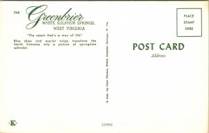 Greenbrier White Sulphur Springs West Virginia WV Postcard Koppel VTG UNP 