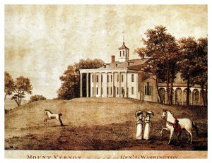Mount Vernon Virginia William Birch Historic Drawing Chrome UNP Postcard 