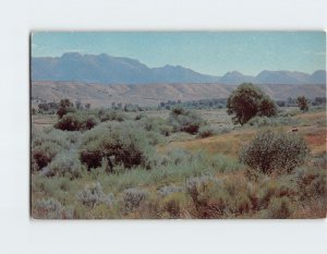 M-215784 Typical Summer View of the Ruby Mountains South of Elko Nevada