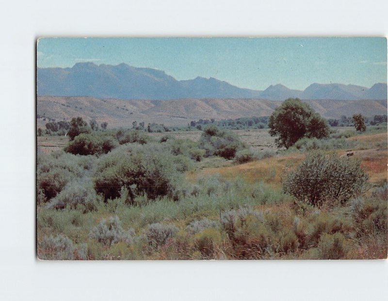 M-215784 Typical Summer View of the Ruby Mountains South of Elko Nevada