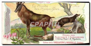 Chromo the World of Mammals Chocolaterie d & # 39aiguebelle Drome Kema Thar s...