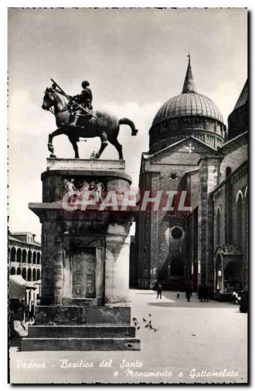 Modern Postcard Basilica Del Santo Padova e Monumento has Gattamelata