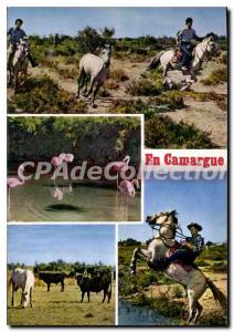 Postcard Modern Camargue with Gardians