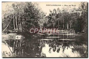 Old Postcard Fontainebleau Mare Aux Boeufs