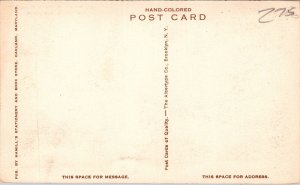 K12/ Oakland Maryland Postcard c1910 St Paters Catholic Church 340