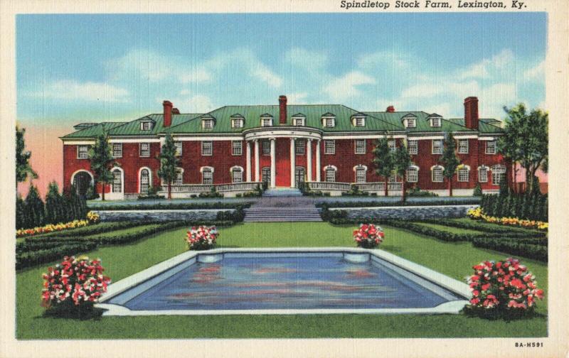 Postcard Spindletop Stock Farm Lexington Kentucky