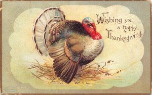 Thanksgiving Greeting 1907 Turkey Poultry Bird embossed postcard B990
