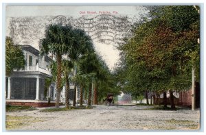 1918 Oak Street Palatka Florida Dirt Road Horse Carriage Buildings View Postcard