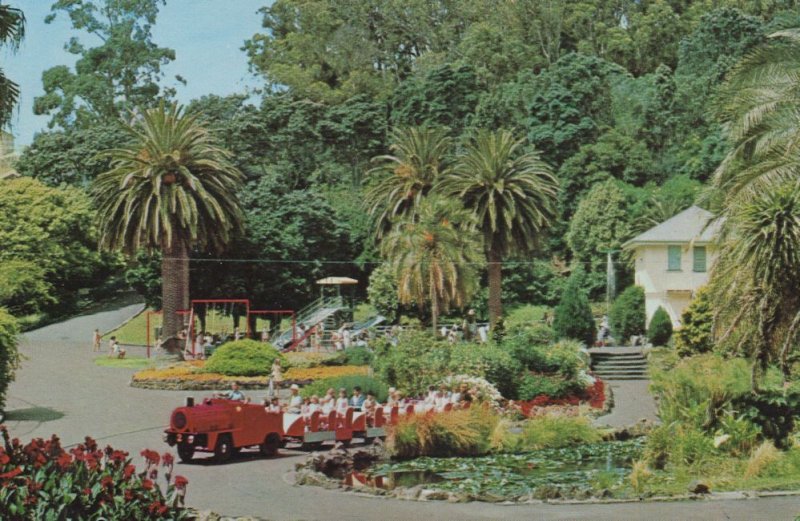 Train Tours at Auckland Zoological Park New Zealand Postcard