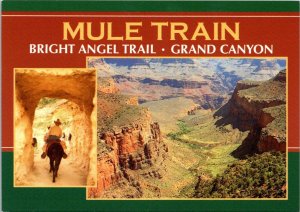 Arizona, Grand Canyon - Mule Train - Bright Angel Trail - [AZ-413X]