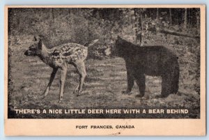 c1920 Fort Frances Ontario Canada Postcard There's Little Deer With Bear Behind