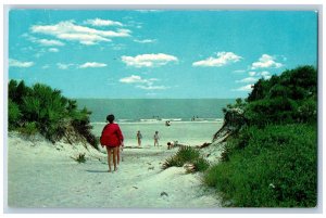 Jekyll Island Georgia Postcard Jekyll Island State Park Dunes And Ocean c1960's