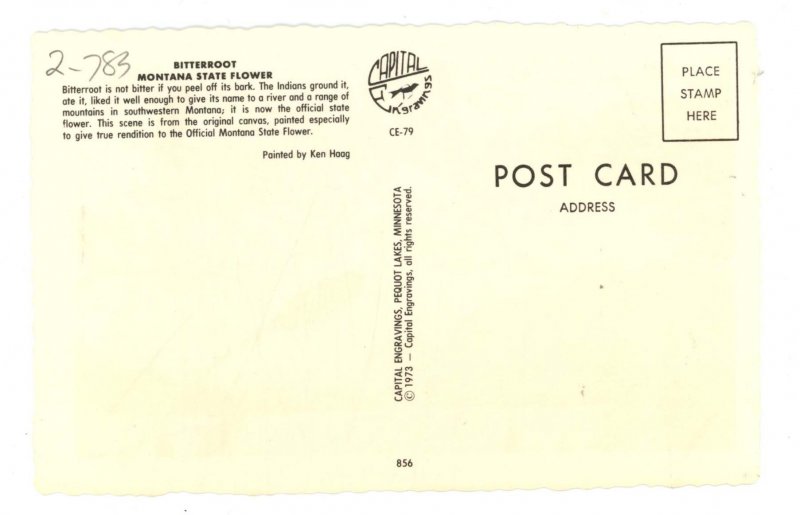 MT - Montana State Flower (Bitterroot)    Artist: Ken Haag