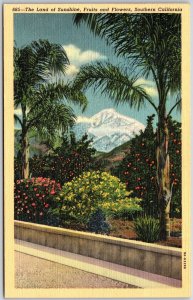 The Land of Sunshine Fruits & Flowers Vistas Southern California CA Postcard