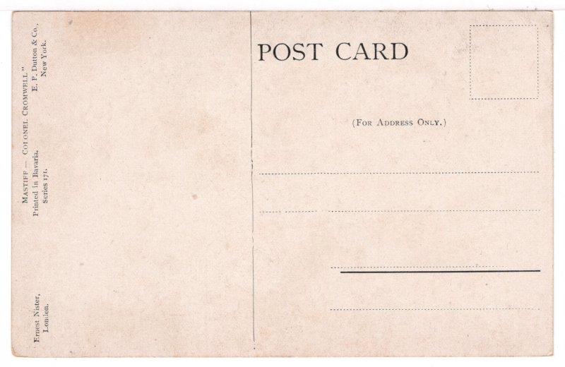 Mastiff - Colonel Cromwell (Dog Portrait) - New Early 1900's