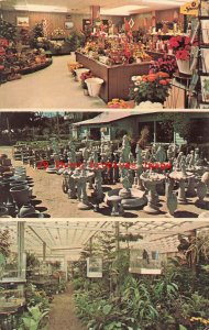 TX, Laredo, Texas, Laredo Garden Center, Multi-View, Dexter Press No 74949-C