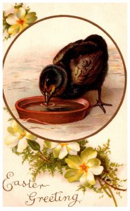 Easter  Bird drinking from bowl