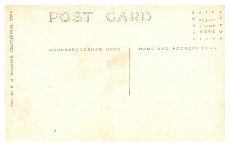 Prejudice !! A  young mexican just hatched 