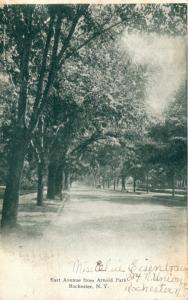 New York Rochester East Avenue From Arnold Place 1906