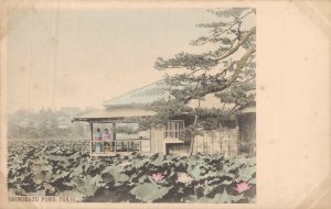 Japan Shinobazu Pond Tokyo Hand Tinted Litho 05.82