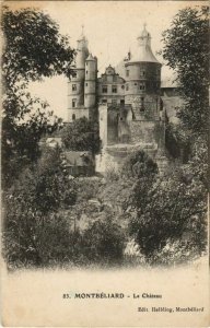 CPA Montbeliard Le Chateau FRANCE (1099162)