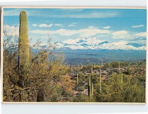 Postcard Snow Covered Four Peaks, Arizona