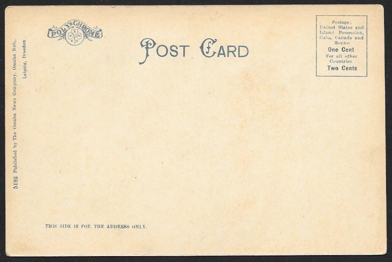 Hanscom Park Omaha Nebraska Unused c1905